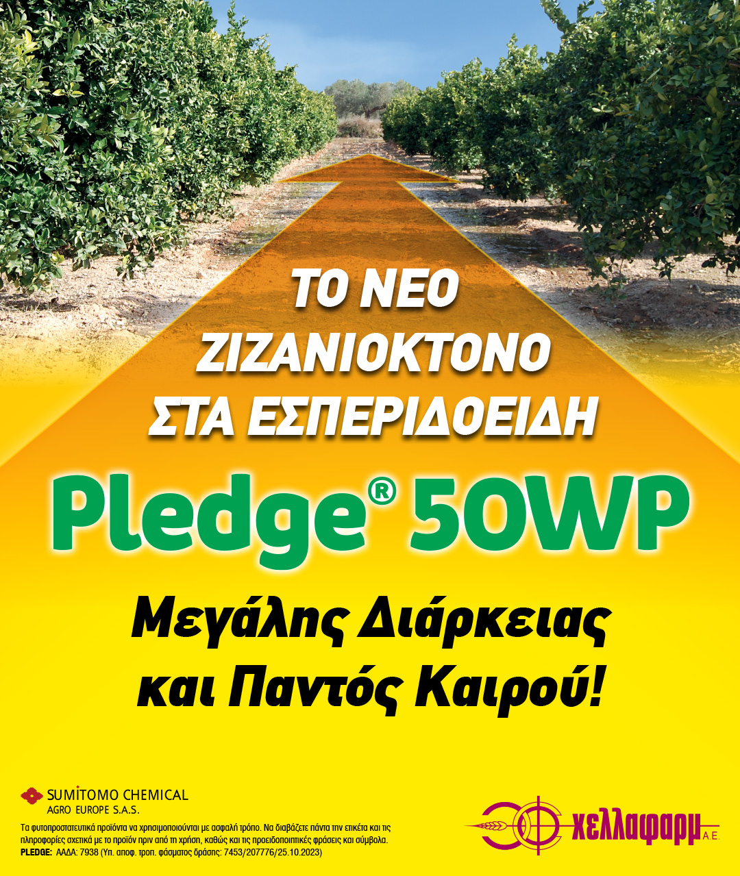 Pledge Banner