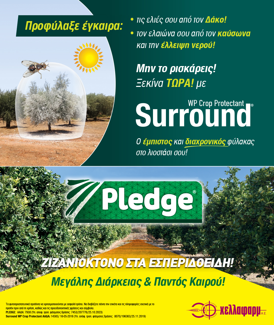 Pledge Banner