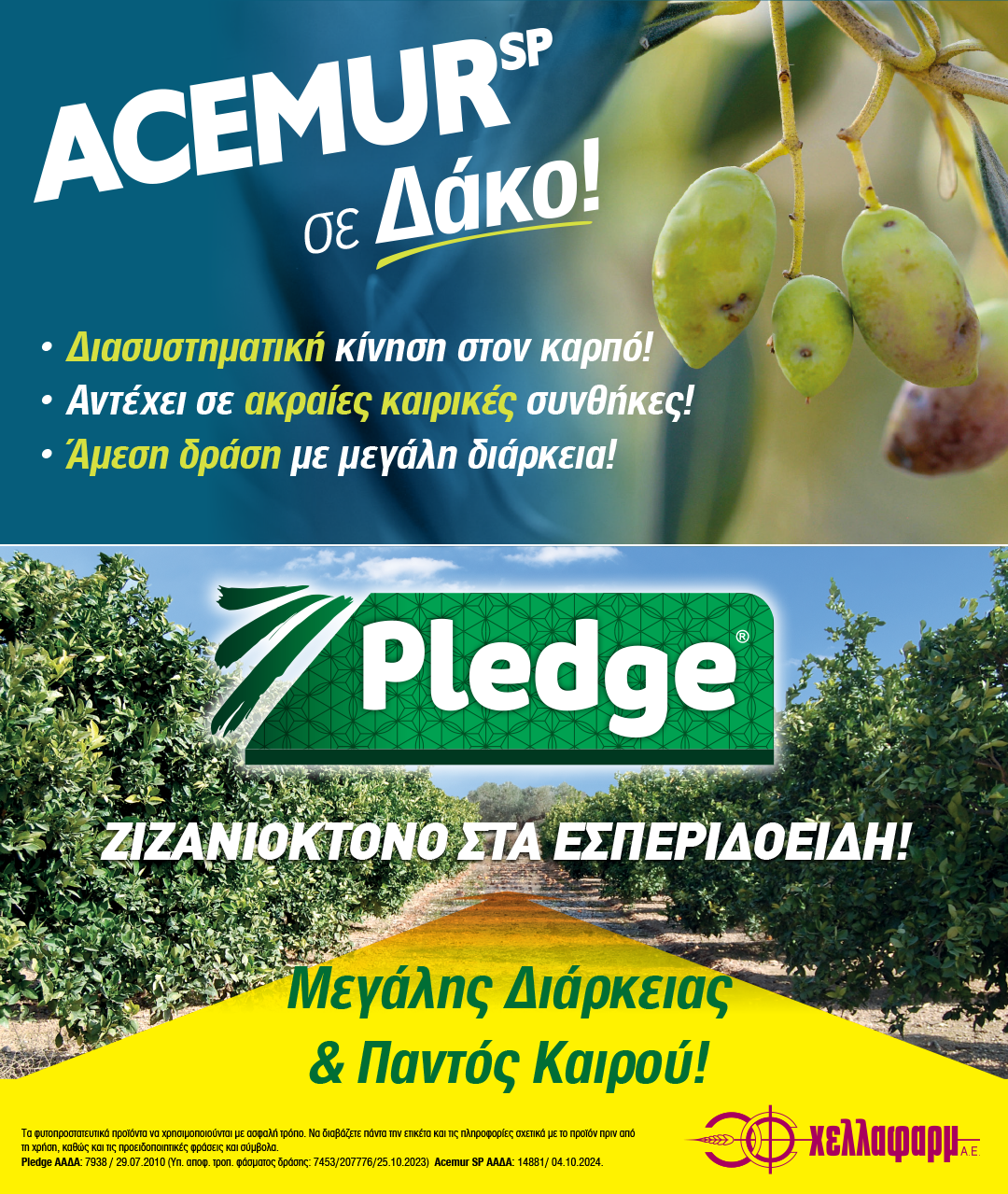 Pledge Acemur