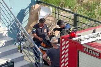Μεσολόγγι: Δίμετρο φίδι εντοπίστηκε σε κατοικημένη περιοχή