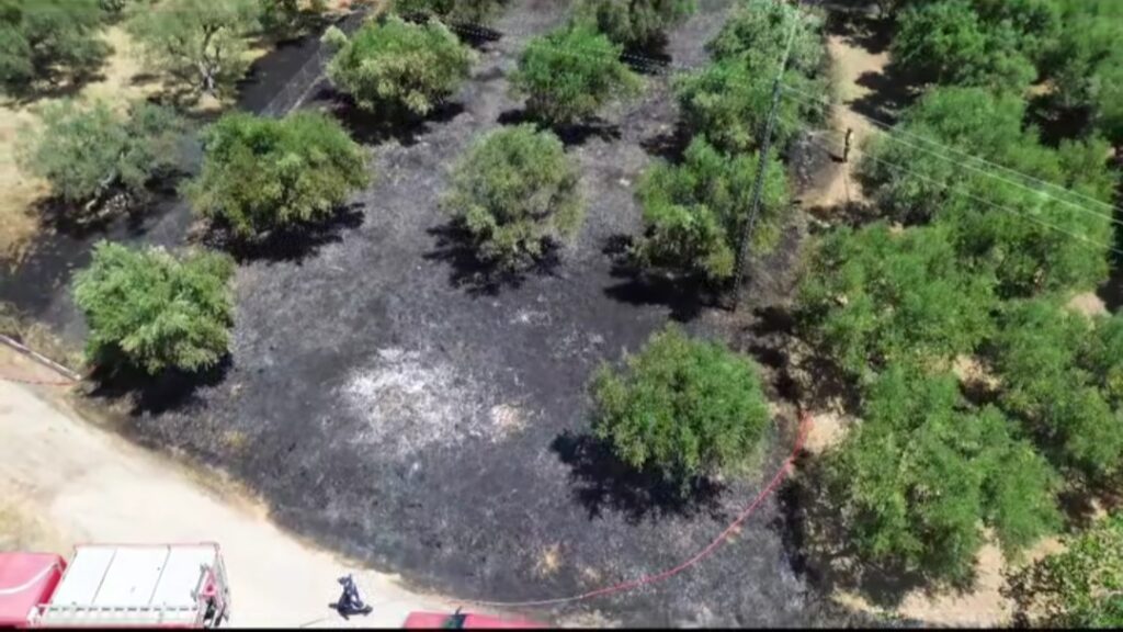 Μεσολόγγι: Φωτιά σε χωράφι με ελιές στον Άγιο Θωμά – Άμεση επέμβαση της Πυροσβεστικής