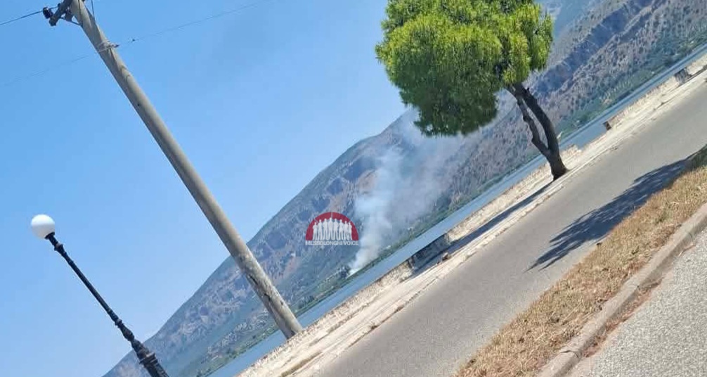 Φωτιά στο Αιτωλικό στην περιοχή του Αγίου Ιωάννη – Στο σημείο η Πυροσβεστική
