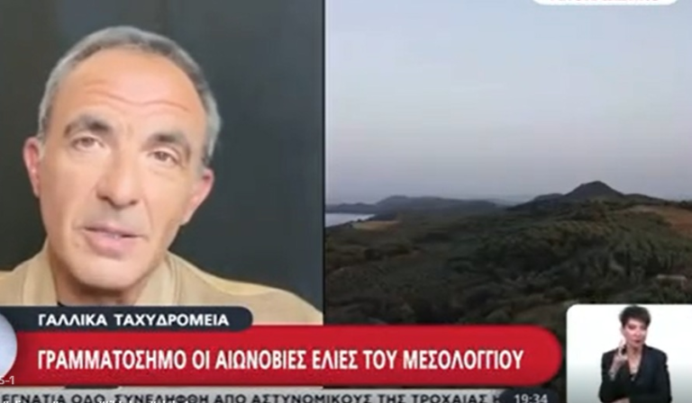 Η φωτογραφία του Νίκου Αλιάγα με τις αιωνόβιες ελιές της Σταμνάς έγινε γραμματόσημο και ταξιδεύει στα πέρατα του κόσμου