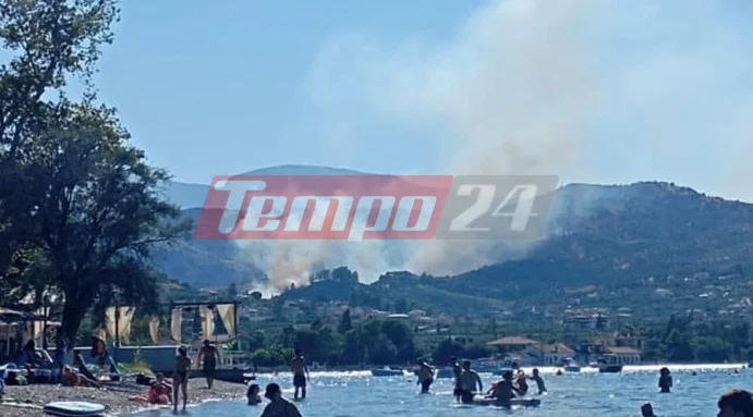 Φωτιά πάνω από την Άκολη – Καίει κοντά σε σπίτια – Ισχυρές δυνάμεις της Πυροσβεστικής στο σημείο