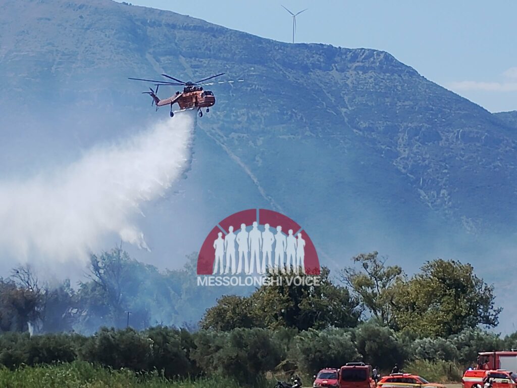 Αιτωλοακαρνανία: Άμεση κινητοποίηση της πυρασφάλειας του 2/39 ΣΕ στην Μακύνεια