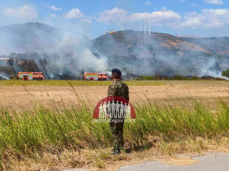 Αιτωλοακαρνανία: Άμεση κινητοποίηση της πυρασφάλειας του 2/39 ΣΕ στην Μακύνεια
