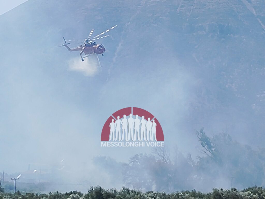 Αιτωλοακαρνανία: Άμεση κινητοποίηση της πυρασφάλειας του 2/39 ΣΕ στην Μακύνεια
