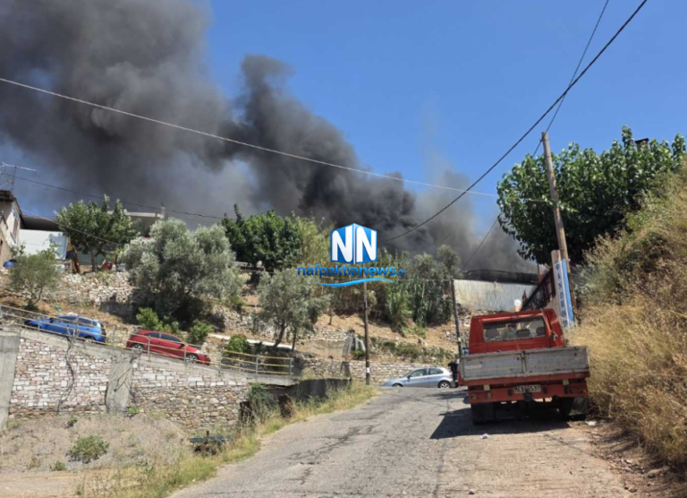 Φωτιά σε επιχείρηση στο Καστράκι Δωρίδας – Σπεύδουν πυροσβεστικές δυνάμεις (Βίντεο)