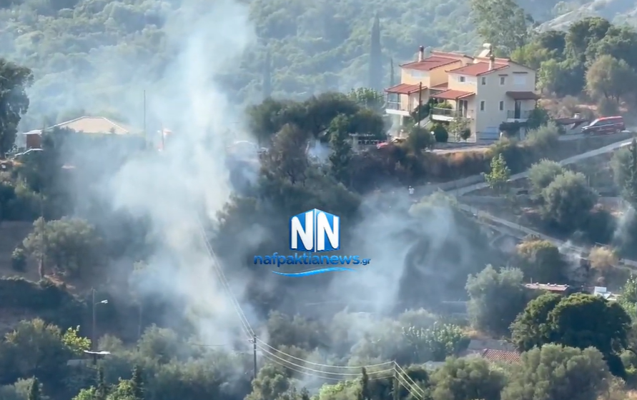 Πυρκαγιά στη Μαμουλάδα Ναυπάκτου δίπλα σε σπίτια (video)