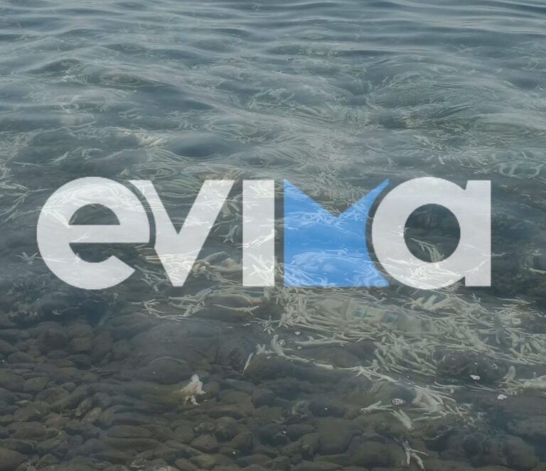 Σοκ στην Εύβοια: Χιλιάδες πόδια πουλερικών ξεβράζονται σε ακτή