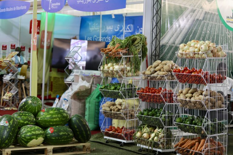 Δυτική Ελλάδα: «Παράθυρο» στις αγορές μέσα από τέσσερις μεγάλες εκθέσεις – Πρόσκληση για συμμετοχή έως 11 Σεπτεμβρίου