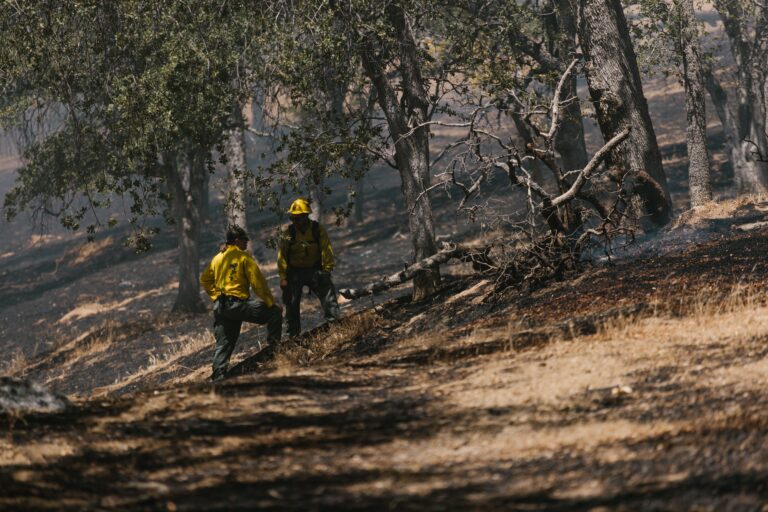 Εύβοια: Πολίτες έσβησαν μόνοι τους φωτιά στους Καθενούς – «Μάχη» με φλόγες πριν φτάσει η Πυροσβεστική