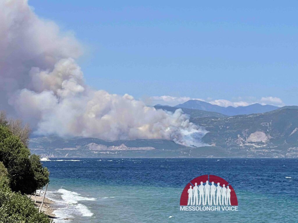 Φωτιά τώρα στο Σκάλωμα Φωκίδας – Μήνυμα 112 σε τρεις περιοχές για ετοιμότητα - Δείτε φωτό