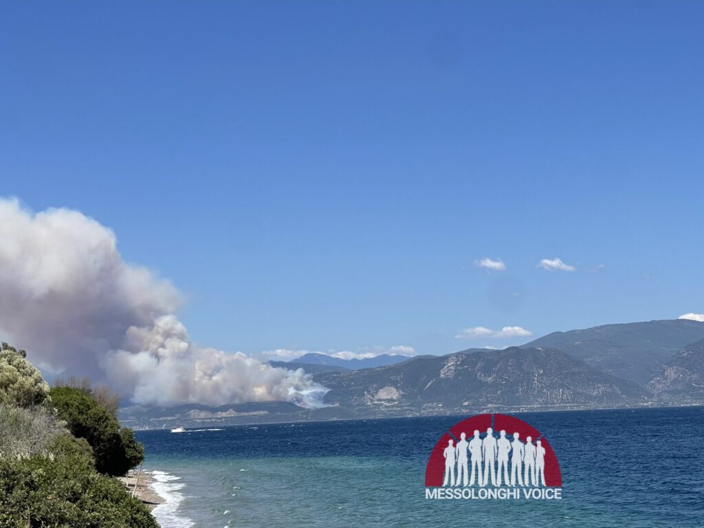 Φωτιά τώρα στο Σκάλωμα Φωκίδας – Μήνυμα 112 σε τρεις περιοχές για ετοιμότητα - Δείτε φωτό