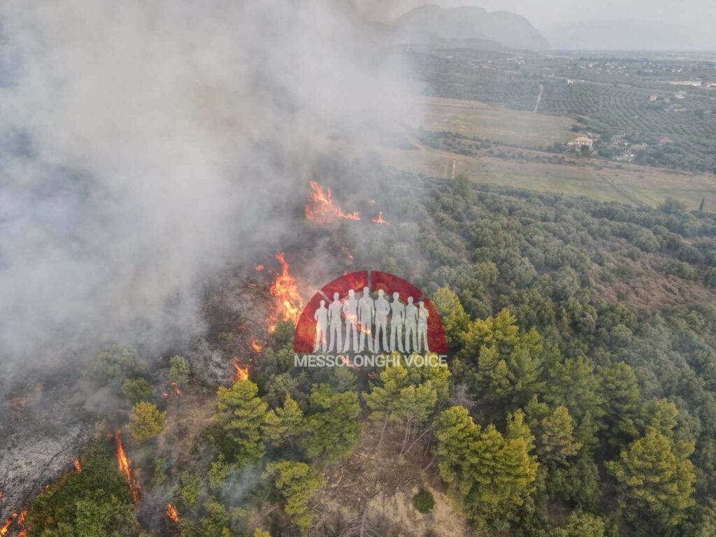 Μεσολόγγι ΤΩΡΑ: Φωτιά ξέσπασε στο πεδίο βολής