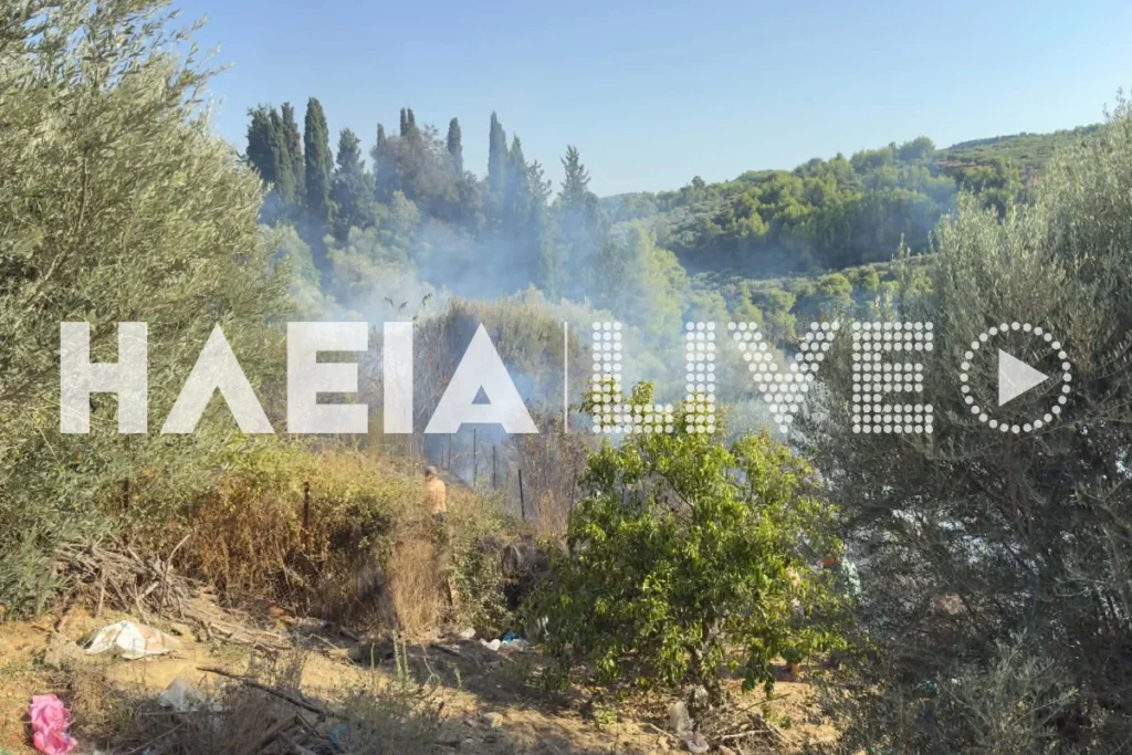 Πύργος: Συναγερμός για πυρκαγιά στο Χειμαδιό – Σηκώθηκαν 3 αεροσκάφη (φωτό)