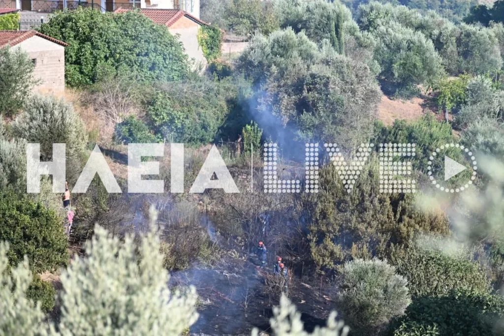 Πύργος: Συναγερμός για πυρκαγιά στο Χειμαδιό – Σηκώθηκαν 3 αεροσκάφη (φωτό)