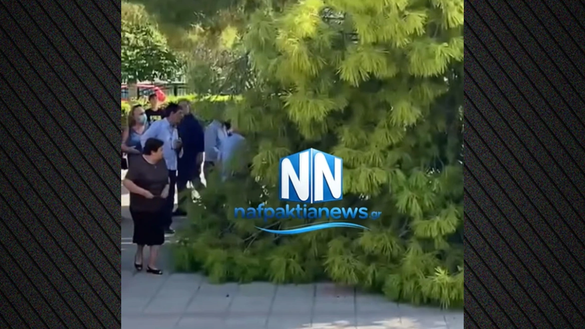 Ναύπακτος: Πτώση μεγάλου κλαδιού σε προαύλιο εκκλησίας – Τρεις τραυματίες την ώρα κηδείας