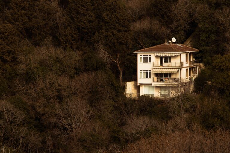 Δασικά αυθαίρετα: Τι αλλάζει για 100.000 ακίνητα – Οι «κόκκινες γραμμές» της νέας ρύθμισης