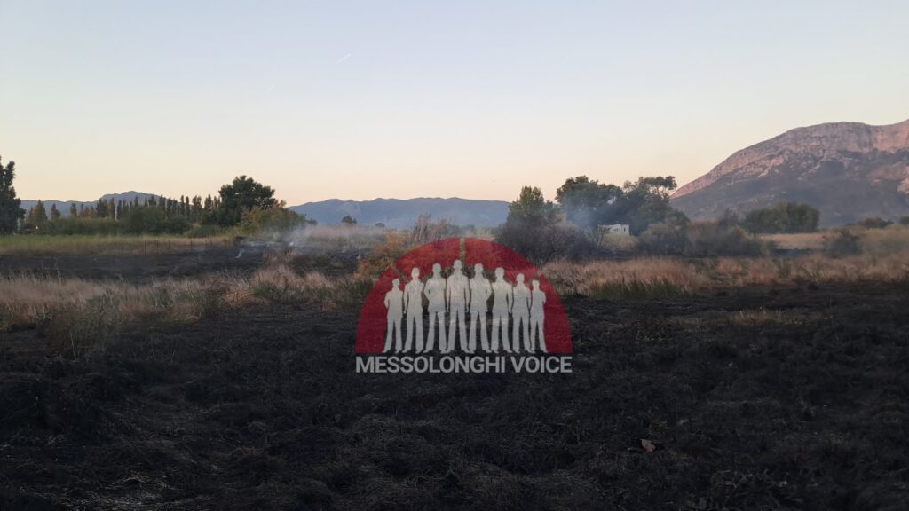 Φωτιά στο Γαλατά Ναυπακτίας - Έκαψε 50 στρέμματα καλαμιών. Δείτε φωτό